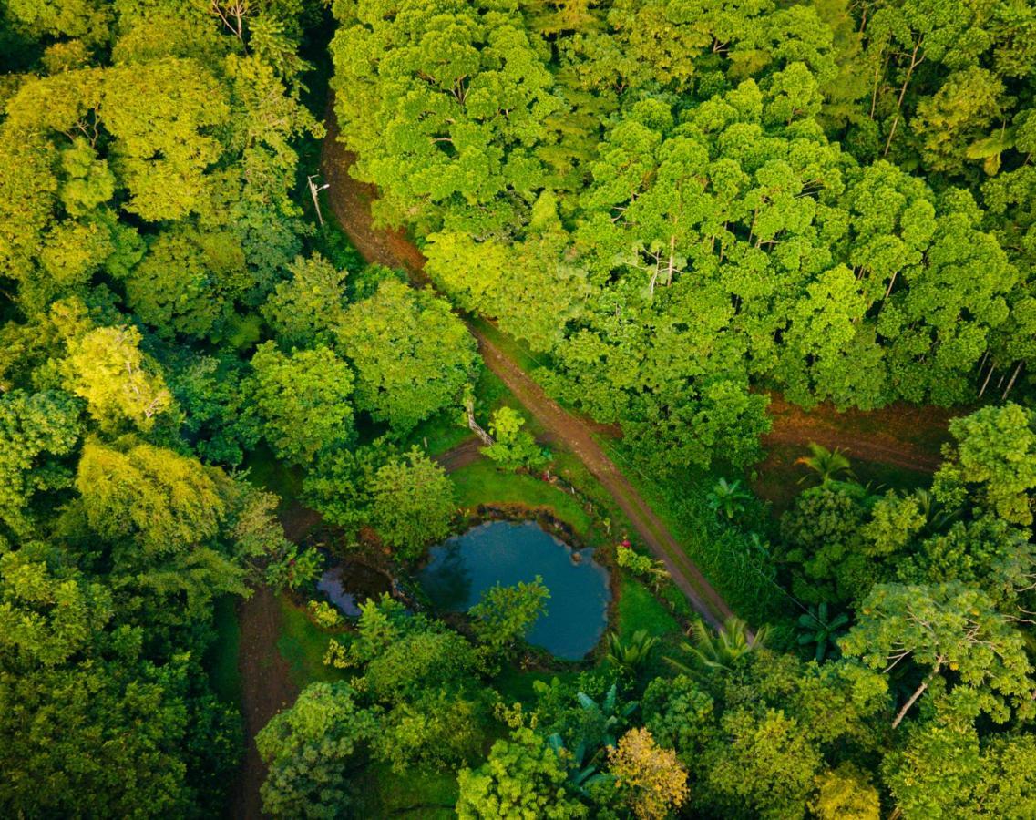 Mirador Prendas Sarapiquí المظهر الخارجي الصورة