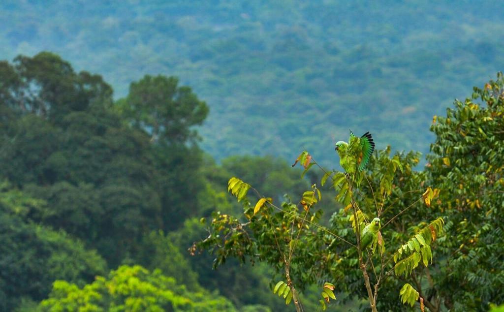 Mirador Prendas Sarapiquí المظهر الخارجي الصورة